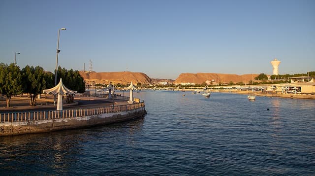 ضباء